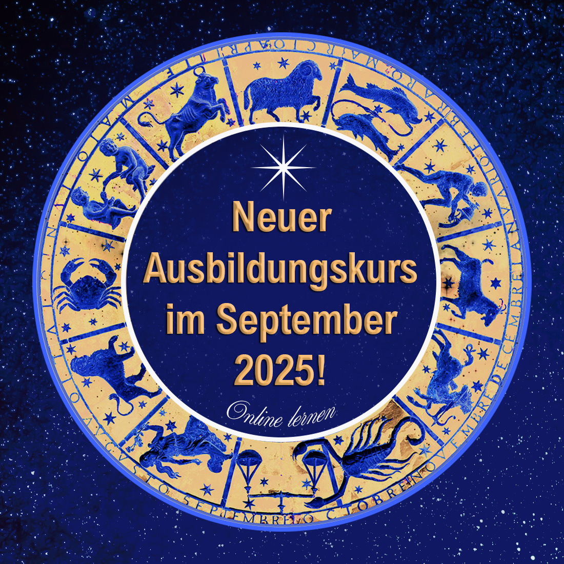 Neue Ausbildung
